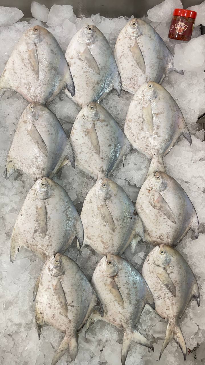 عرض 5 كيلو زبيدي وعلبة معبوج