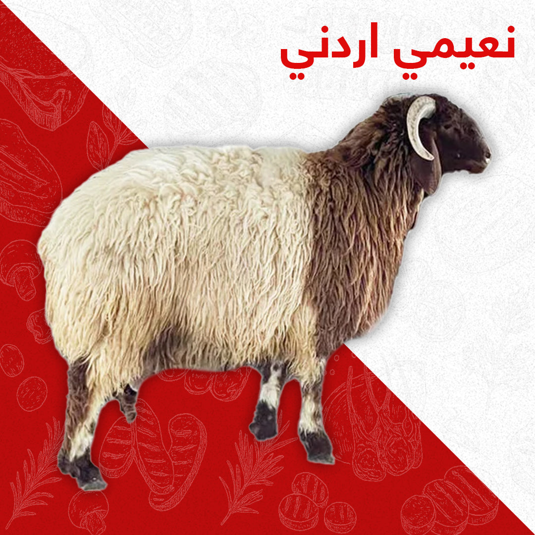 نعيمي أردني