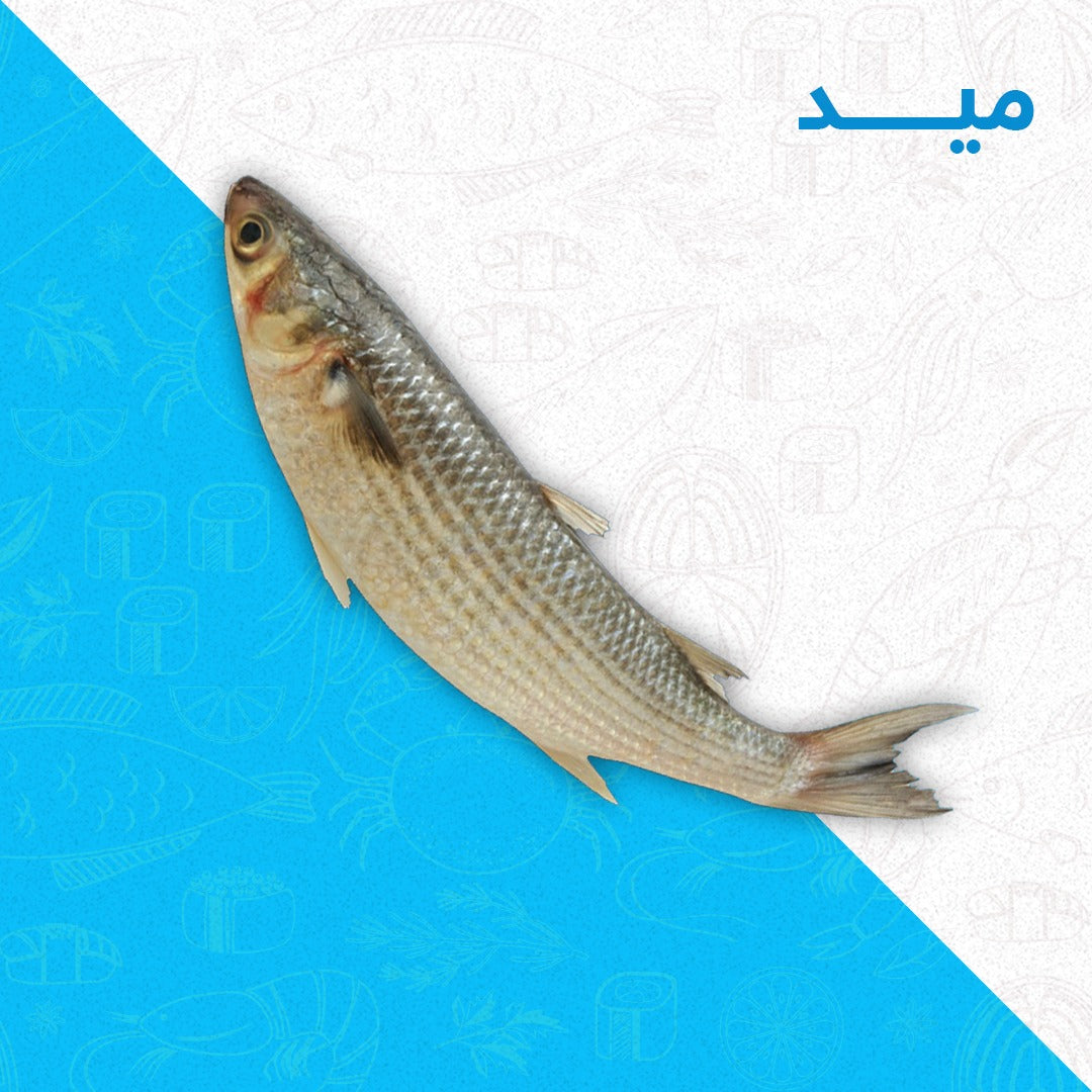 ميد