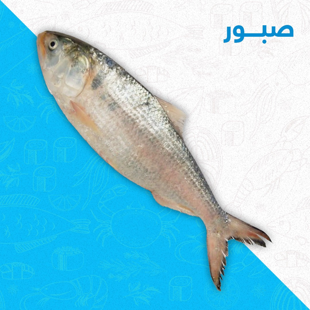 صبور