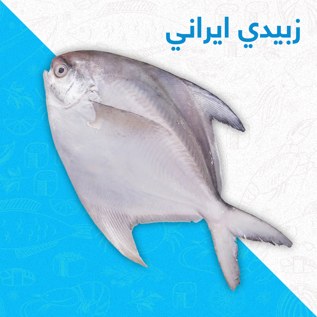 زبيدي إيراني