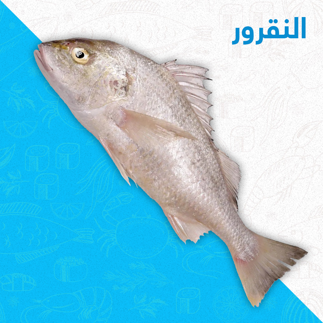 نقرور